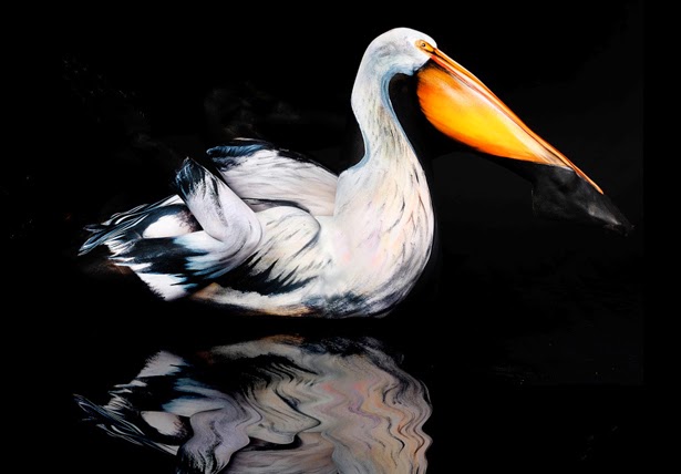 Carousel Image number 6